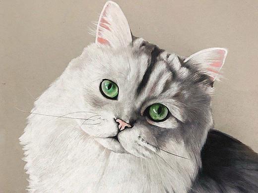 动物不凶猛——手绘动物集合