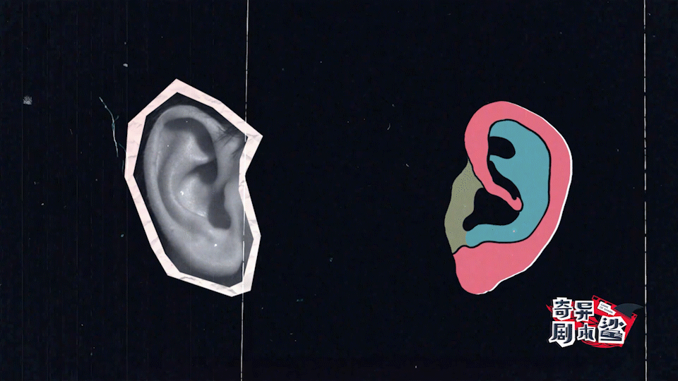 《奇异剧本鲨》概念宣传片 | MAOS（图ZMjU4MjI1NTMy） - 宣传片 - 站酷设计师MAOS貌似原创素材 - 站酷ZCOOL