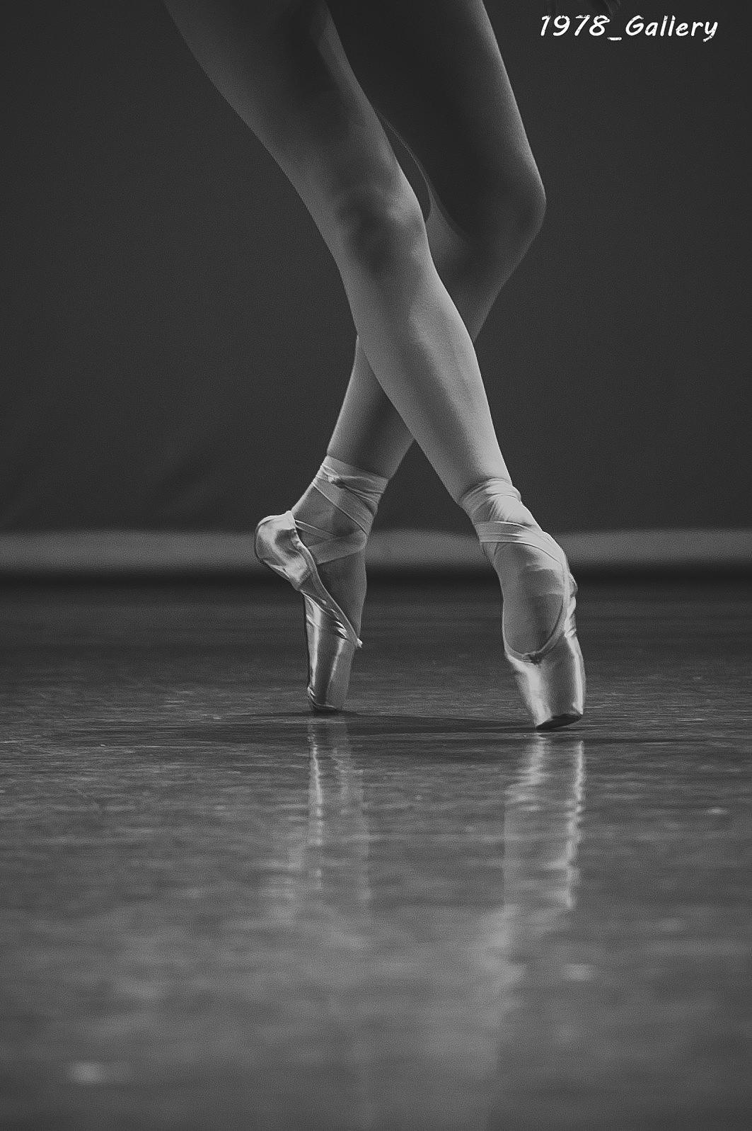Ballet Swan Lake（图ZNTA3NTc1MTI=） - 人像摄影 - 站酷设计师1978_Gallery原创素材 - 站酷ZCOOL