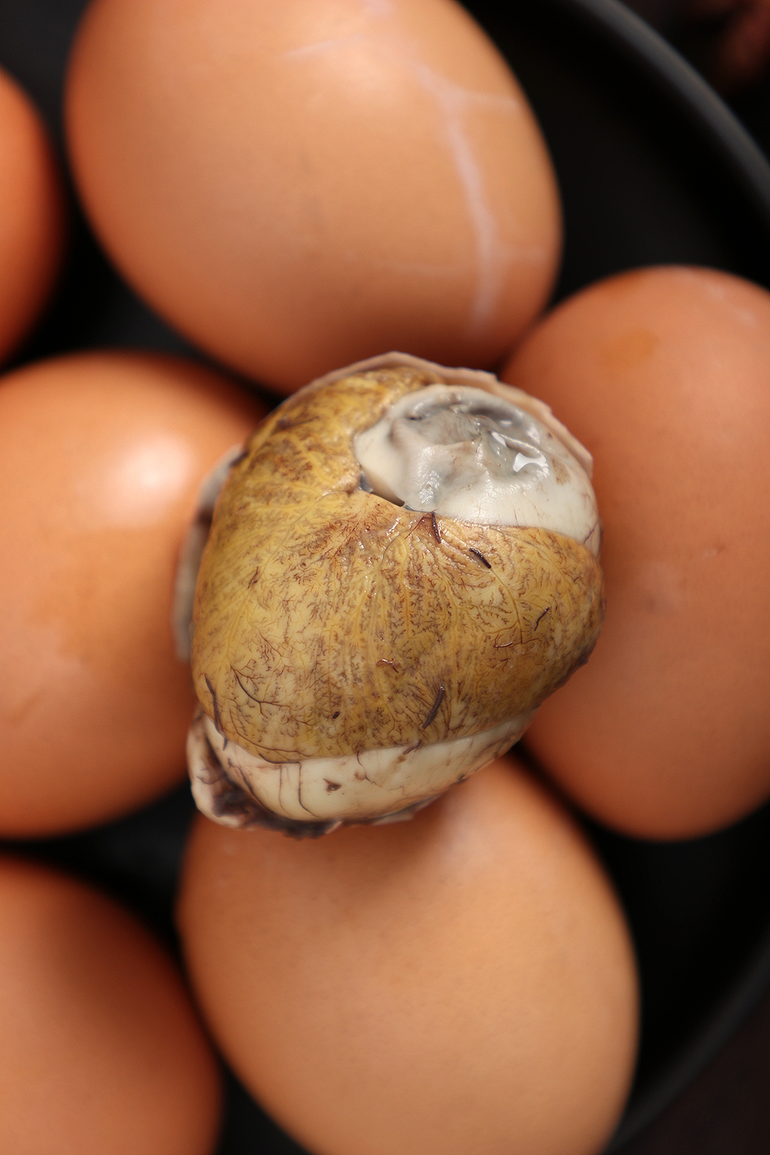 毛蛋丨活珠子丨金凤活珠专注生鲜电商拍摄设计