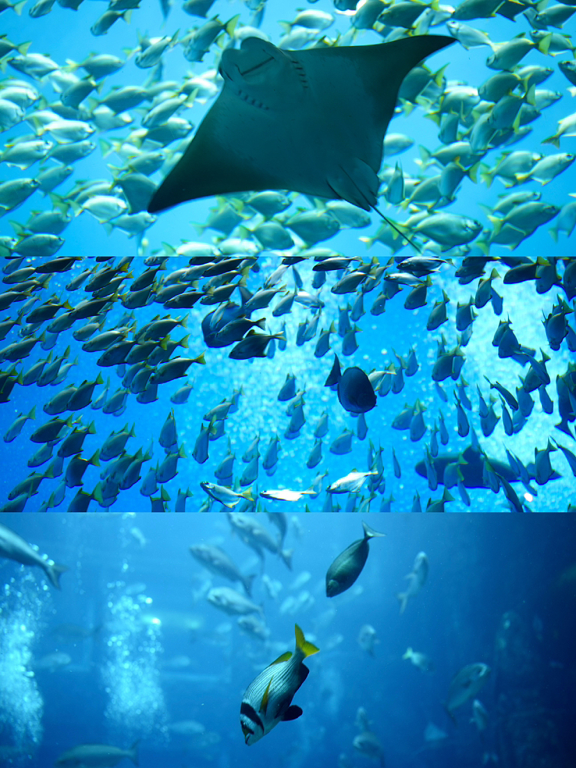 阿联酋之旅（图ZMzY2NTQ3MDk2） - 人文/纪实摄影 - 站酷设计师南京建筑空间摄影原创素材 - 站酷ZCOOL