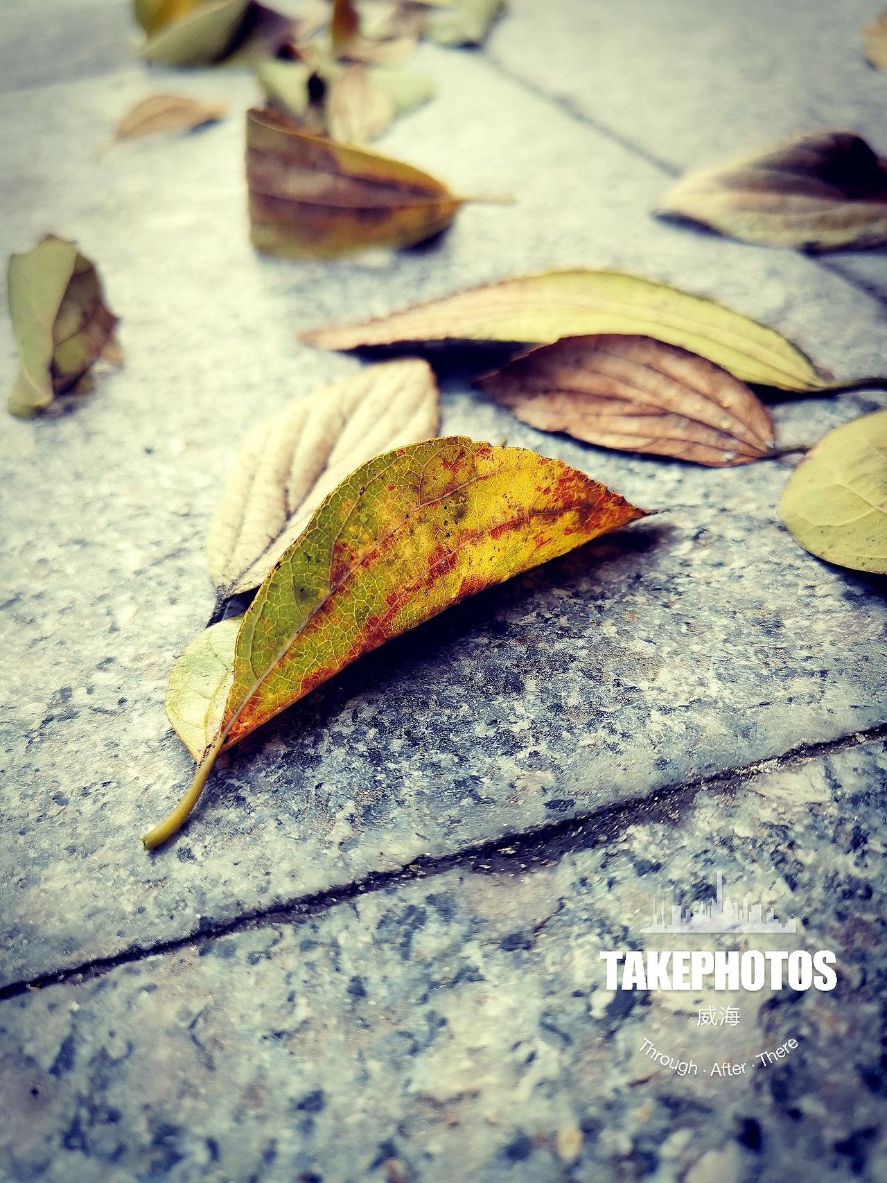 努力发现生活中的美