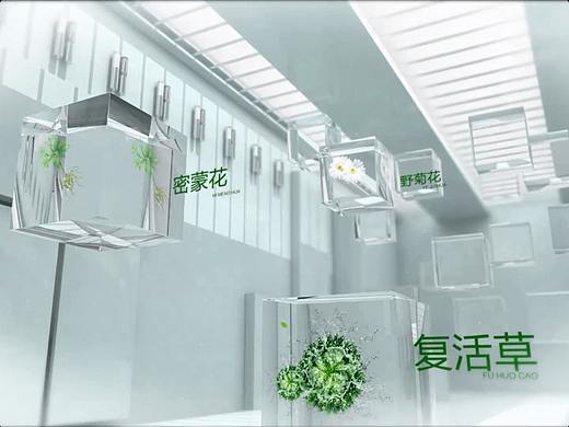 修正复活草产品成分介绍视频