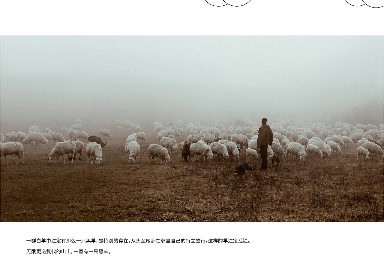Blacksheep咖啡品牌设计（图ZMjc5MzM3MTIw） - 品牌 - 站酷设计师在锅里在门外原创素材 - 站酷ZCOOL