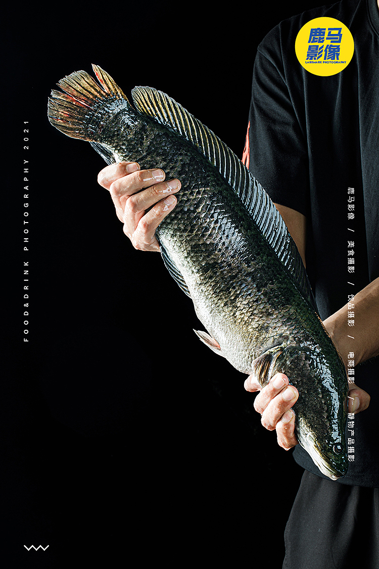 东三省烤鱼连锁伟大航路微缩摄影杭州摄影创意美食摄影（图ZMjczNDY5OTE2） - 美食摄影 - 站酷设计师美食摄影师陈燕飞原创素材 - 站酷ZCOOL