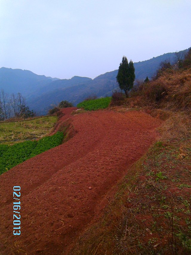 四川省宣汉县花池乡6组太阳坡