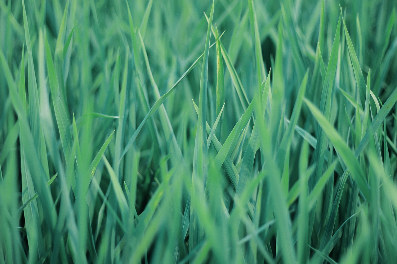 老家的味道（图ZMTE5MTI4NDg0） - 人文/纪实摄影 - 站酷设计师勺甜原创素材 - 站酷ZCOOL