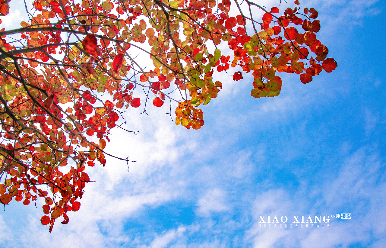 蔡节红叶（图ZOTM5OTM4Njg=） - 风光摄影 - 站酷设计师lixiangpeng1122原创素材 - 站酷ZCOOL