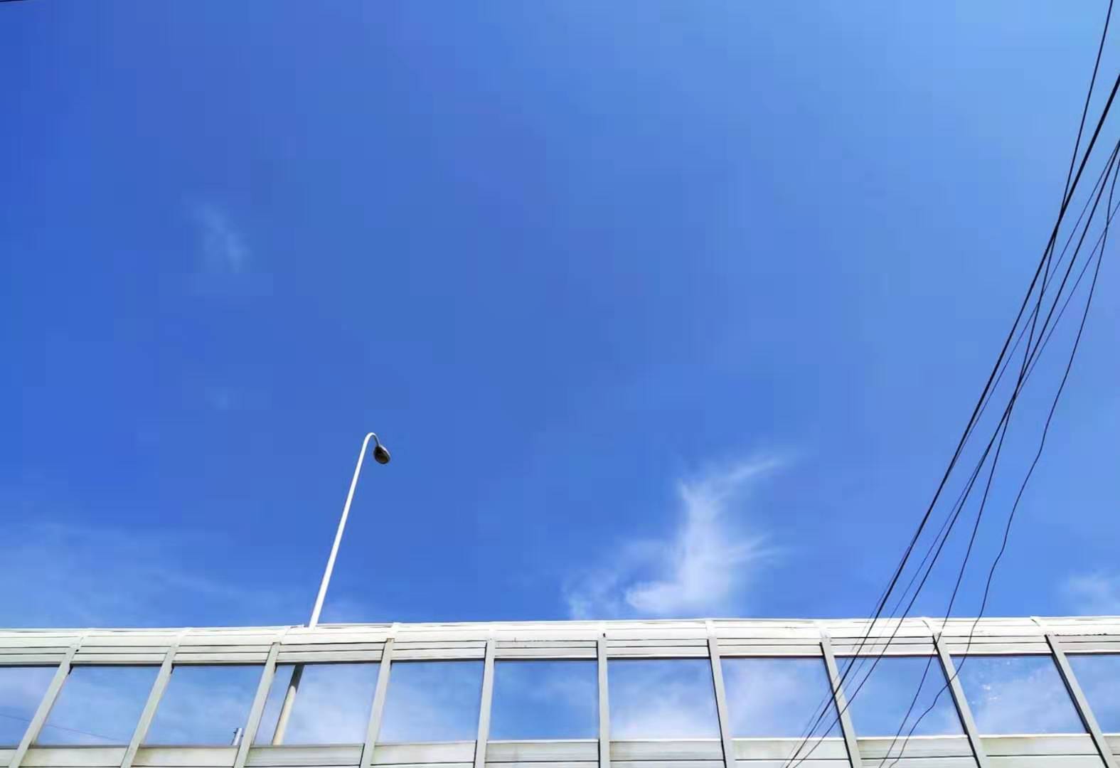 樱花醉梦zmf的个人主页（背景预览） - 主页背景设置 - 站酷设计师樱花醉梦zmf原创素材 - 站酷ZCOOL