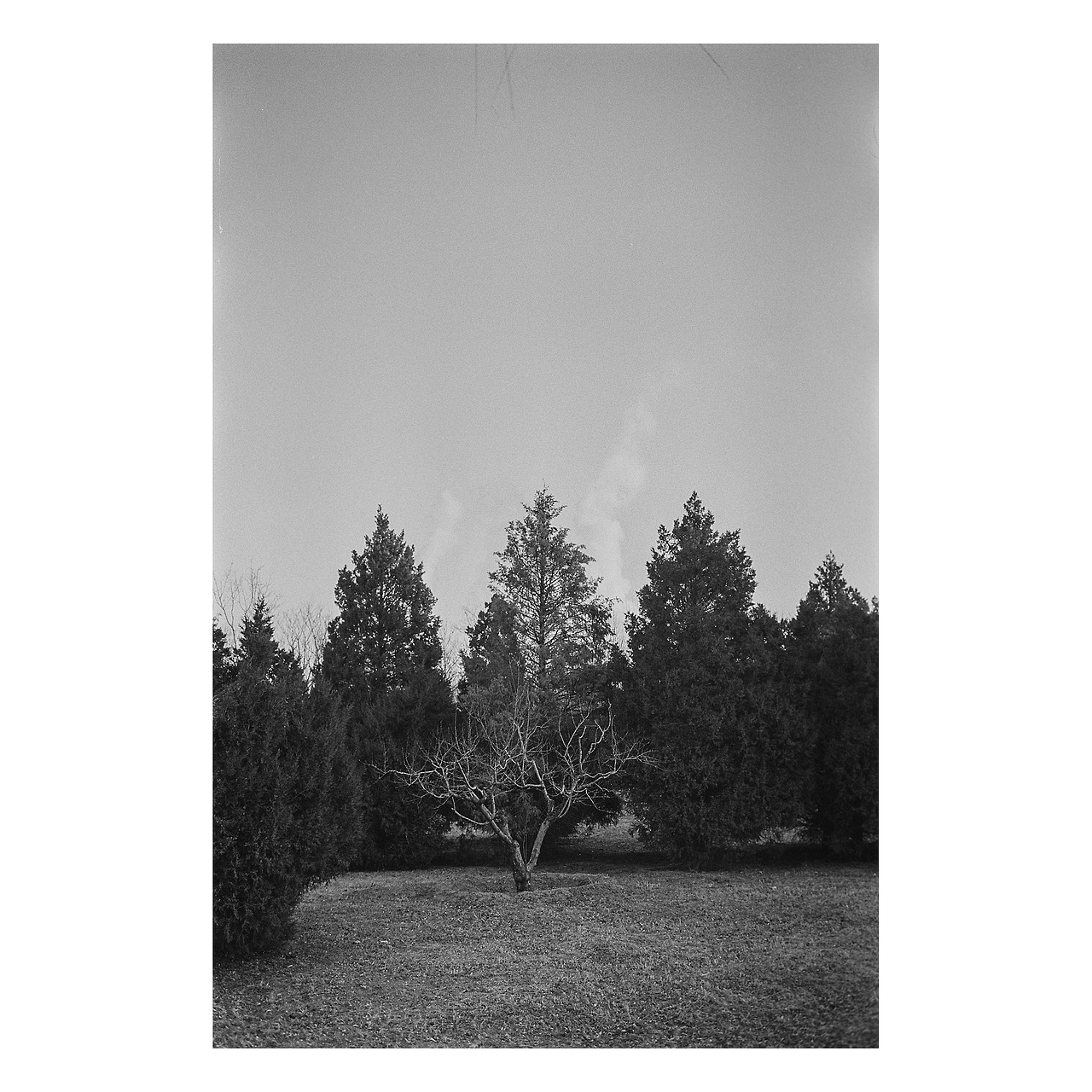 街头胶片摄影｜部分黑白合集 by Leica M6（图ZMjg2NjkzODA0） - 人文/纪实摄影 - 站酷设计师刘小川原创素材 - 站酷ZCOOL