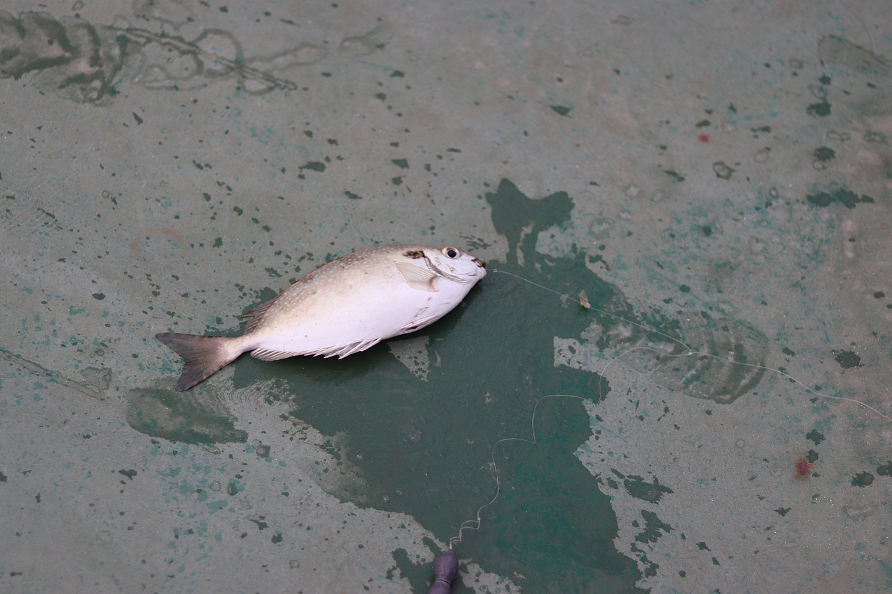 旅拍·记录不同时刻的你