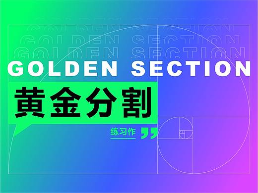 黄金分割——动物形象