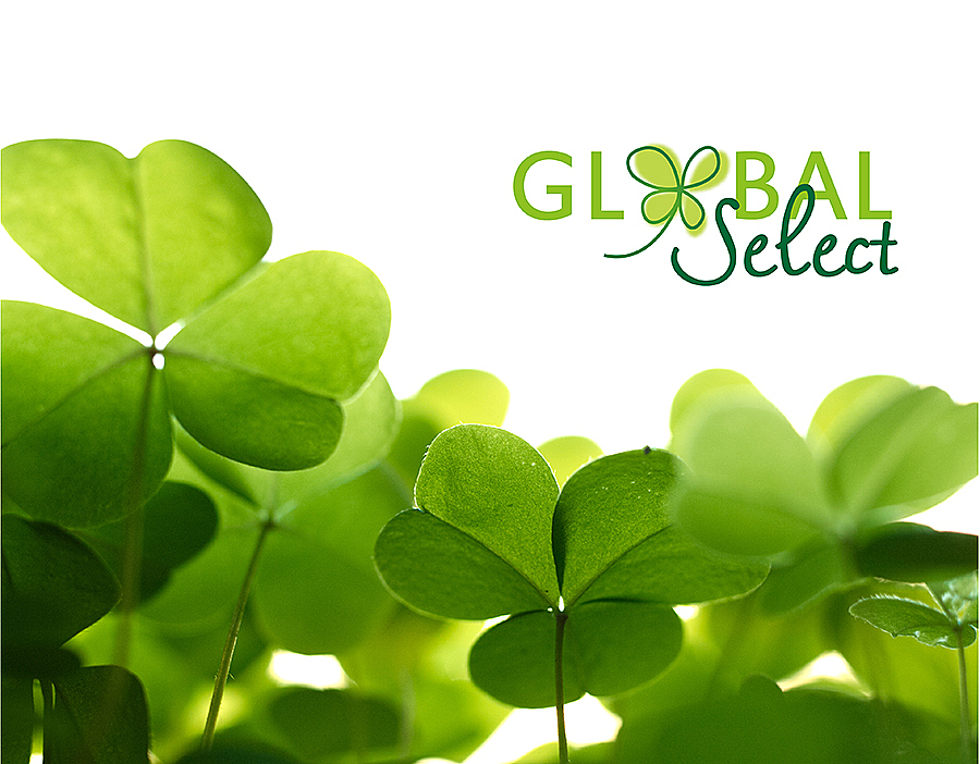 GlobalSelect 标志包装设计方案（图ZMTg0ODU0MzI=） - 品牌 - 站酷设计师六月印迹品牌创意原创素材 - 站酷ZCOOL