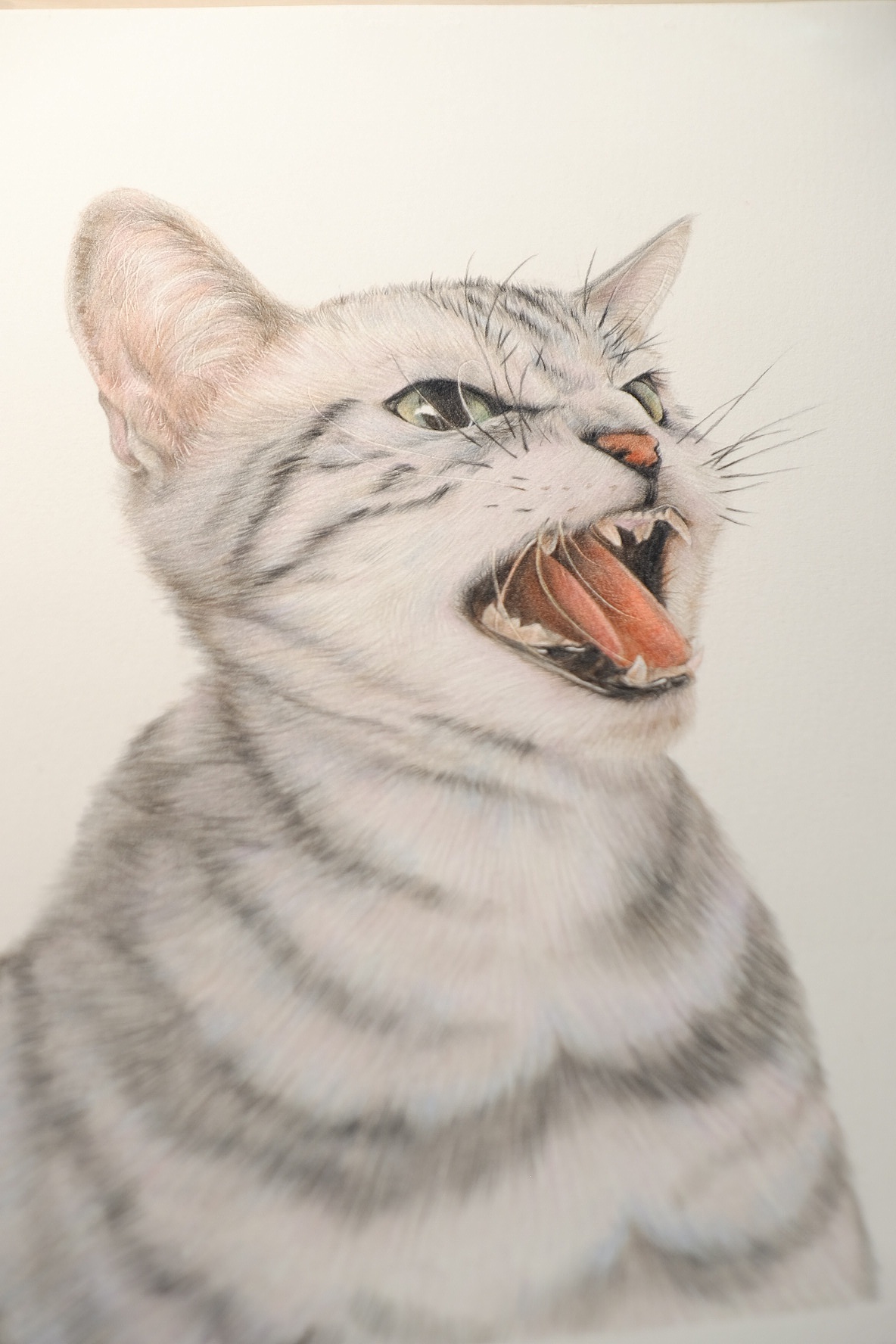 43:42杨成林21:26:58翁振环插画中的色彩与光影119559ipad插画入门