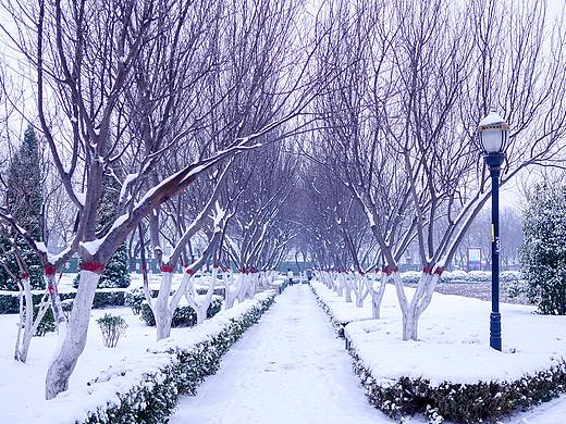 开封的雪