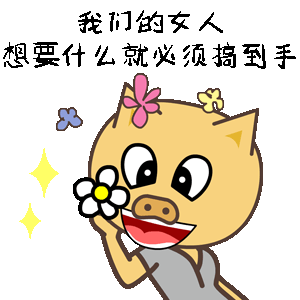 猪小本表情