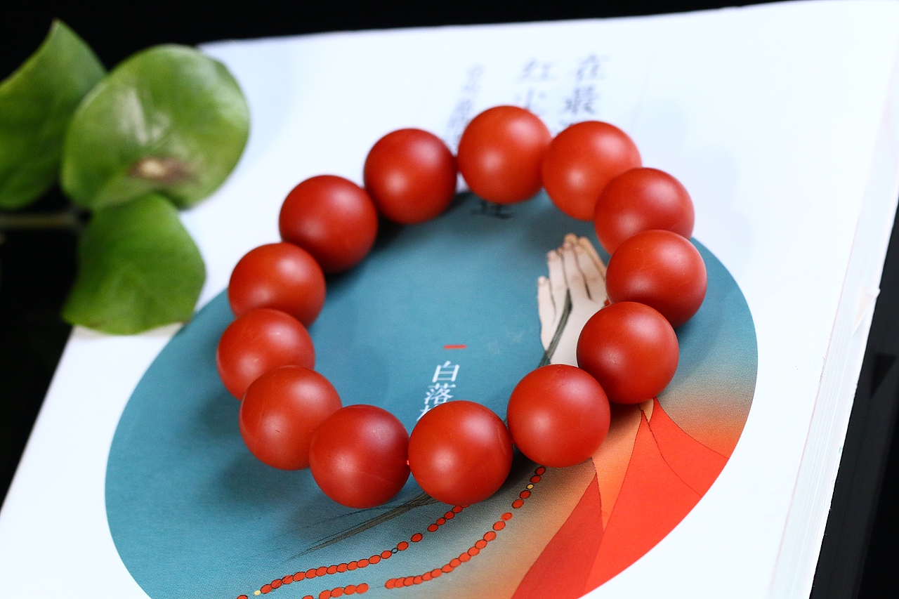 南红摄影----【青春不知笼中鸟,岁月深处又相逢】