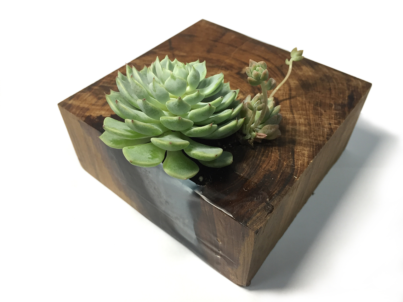 物望诗（图ZODIwMjE2MjQ=） - 工艺品设计 - 站酷设计师格物顧原创素材 - 站酷ZCOOL