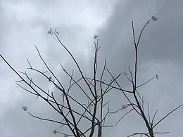 雨后的天空是另一种美