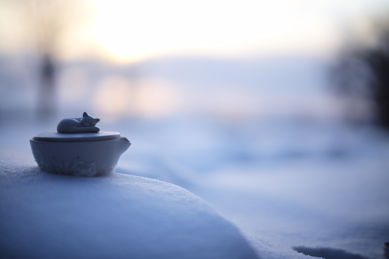 当雕塑融入陶瓷，酣睡的茶猫。
