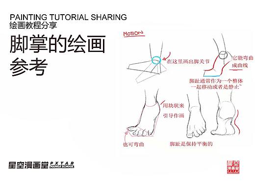 脚掌的绘画参考