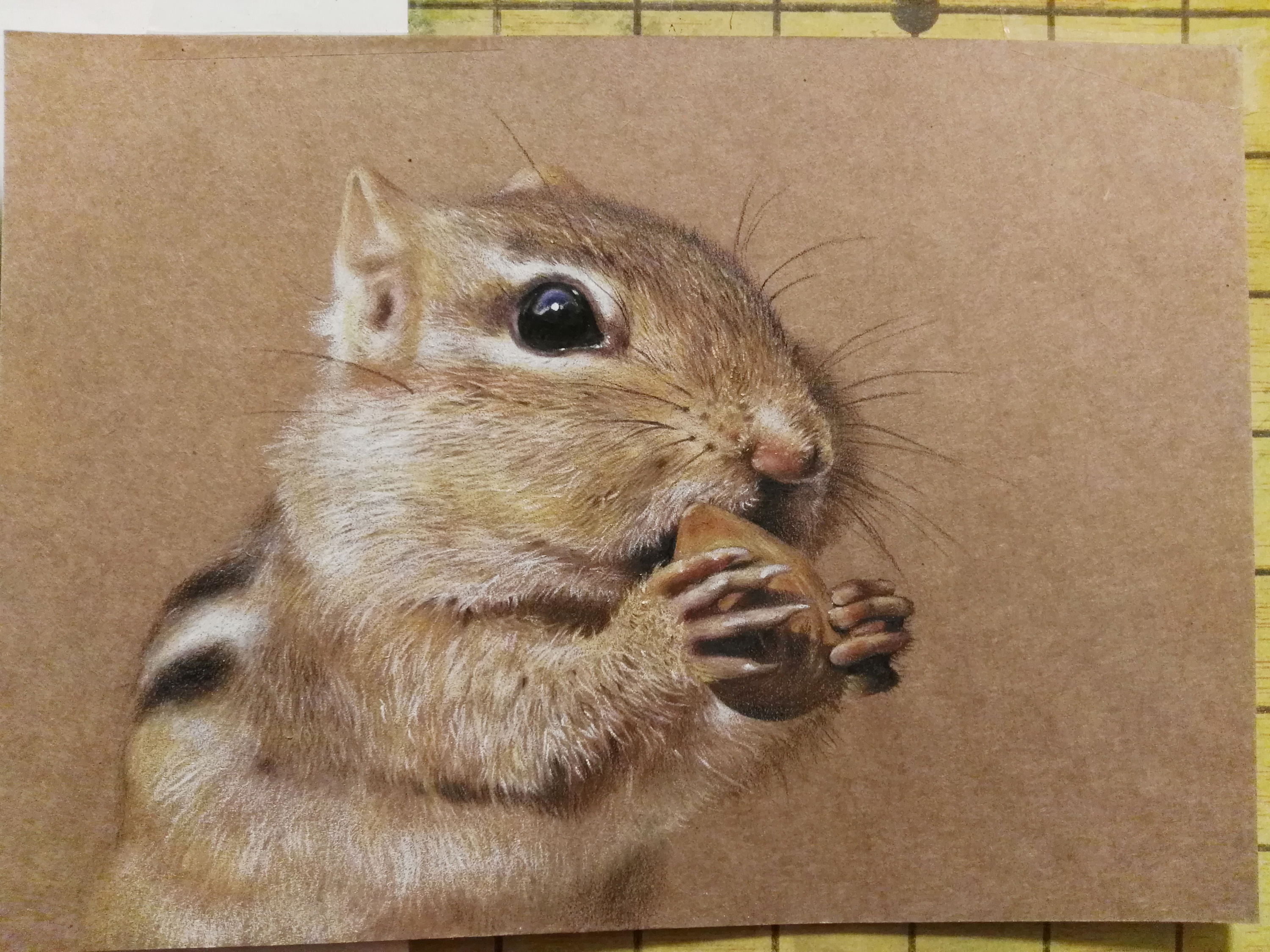 牛皮纸彩铅 花栗鼠