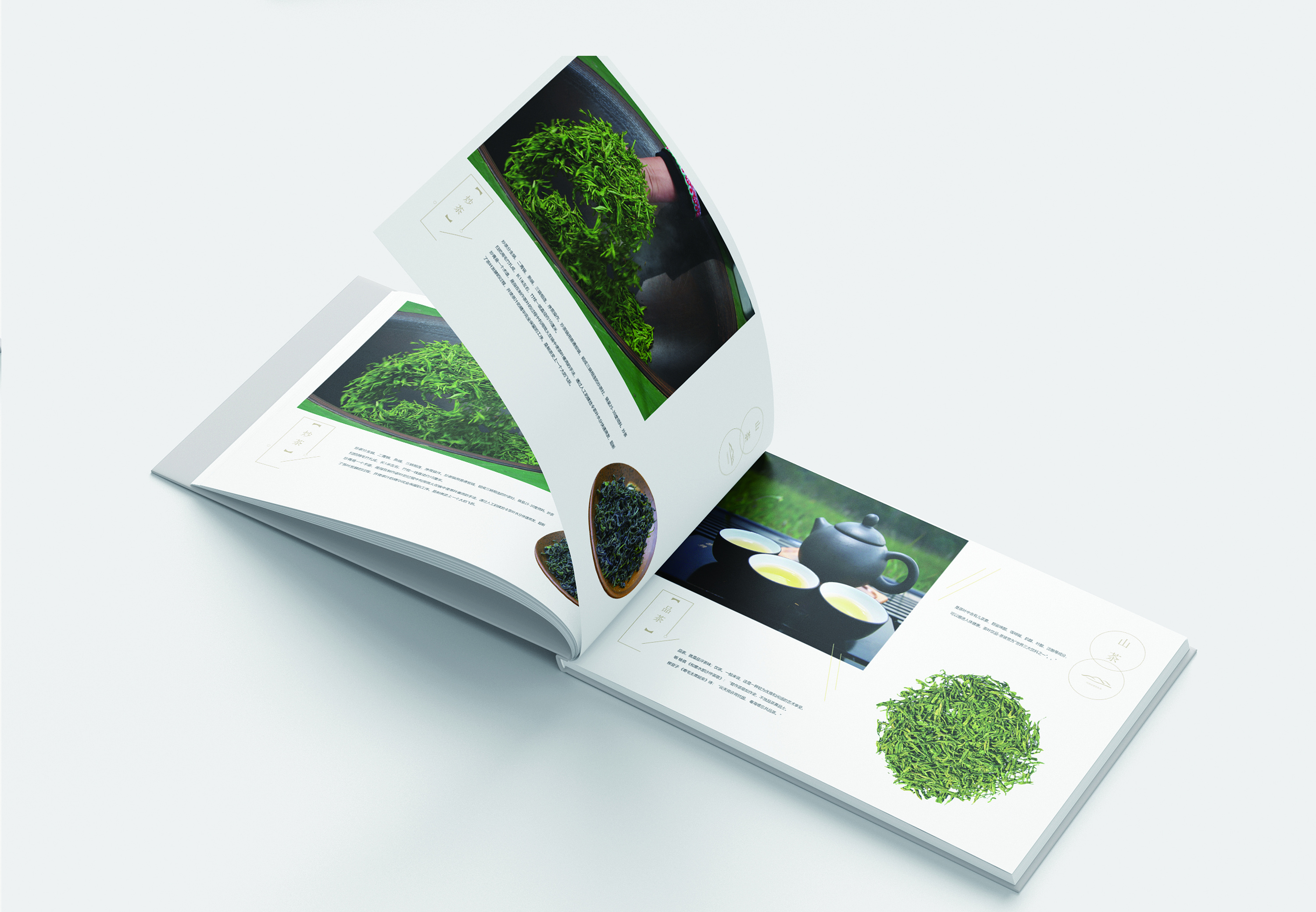 茶叶画册