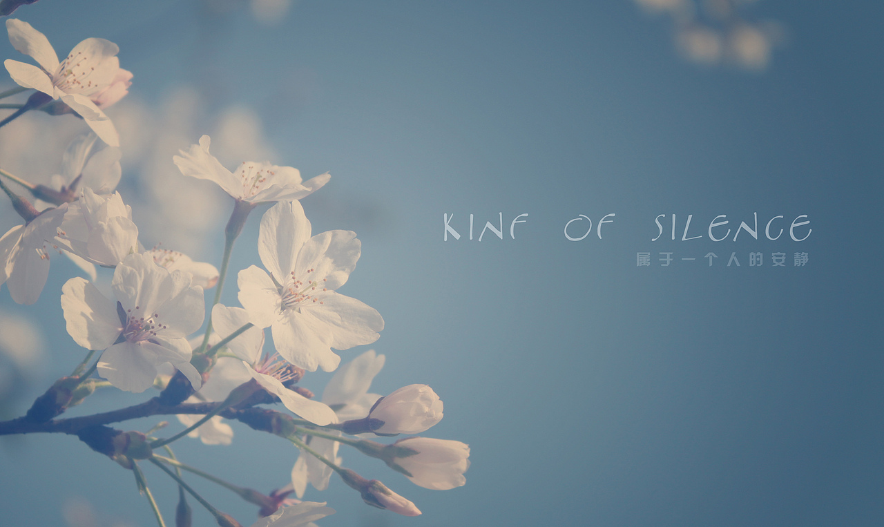 踩个樱花季的尾巴