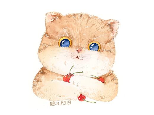 水彩插画 猫咪