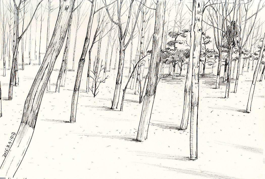 树林（图ZNDMzNTMxNTI=） - 创作习作 - 站酷设计师会画画的闪闪原创素材 - 站酷ZCOOL