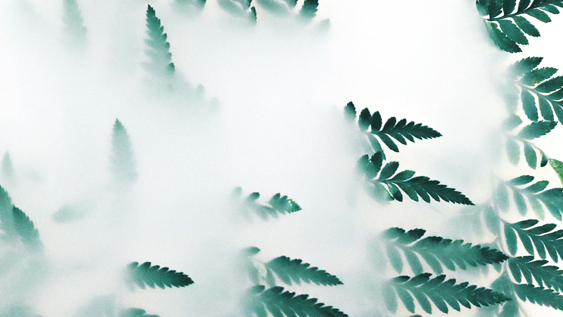 壹顆圓子的個(gè)人主頁（封面預(yù)覽） - 主頁封面設(shè)置 - 站酷設(shè)計(jì)師壹顆圓子原創(chuàng)素材 - 站酷ZCOOL