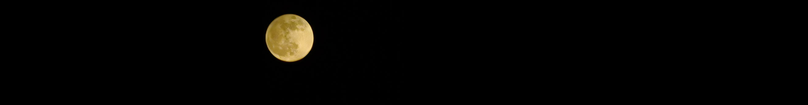 郭晃兒的個人主頁（封面預(yù)覽） - 主頁封面設(shè)置 - 站酷設(shè)計師郭晃兒原創(chuàng)素材 - 站酷ZCOOL