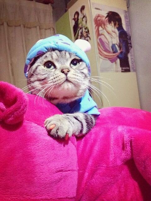 哒哒哒~闪亮登场