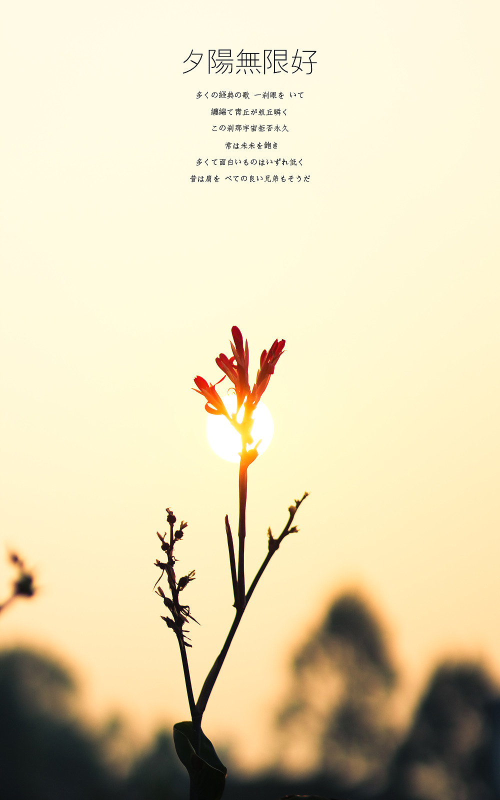 日出，日落，星空，夜。（下集）（图ZMTE3OTI5MTY=） - 风光摄影 - 站酷设计师michaelpst原创素材 - 站酷ZCOOL