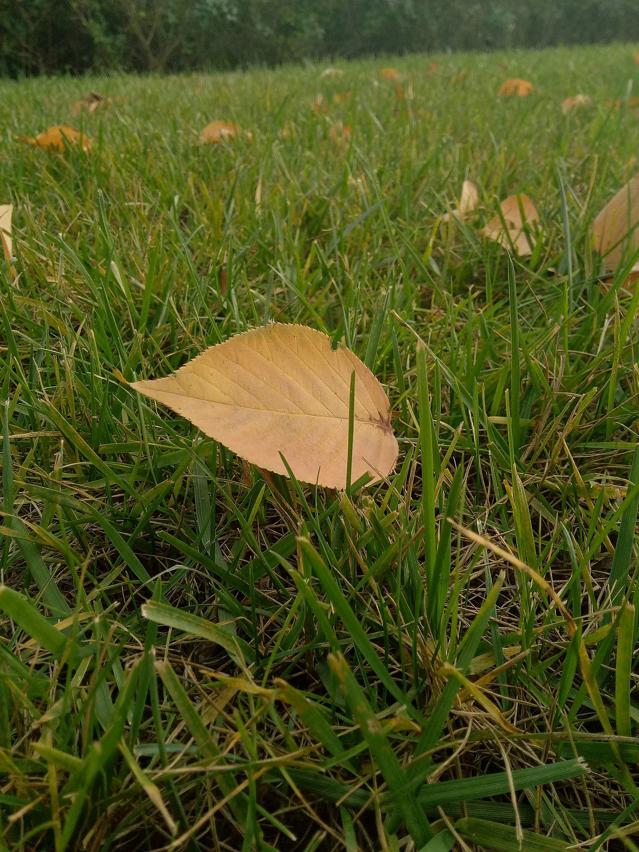 摄影（图ZMTg0OTU5NDgw） - 风光摄影 - 站酷设计师沫瑶宝贝吖原创素材 - 站酷ZCOOL