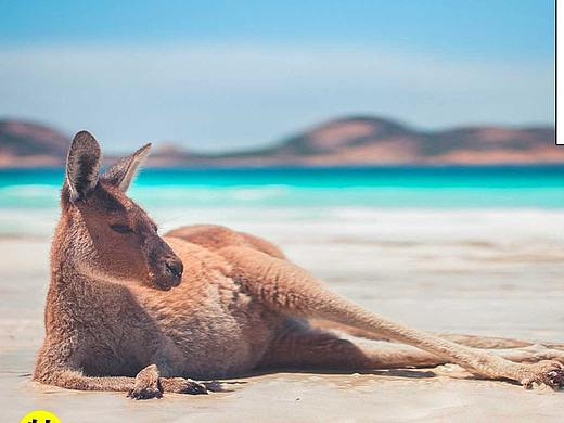 澳洲旅游海报