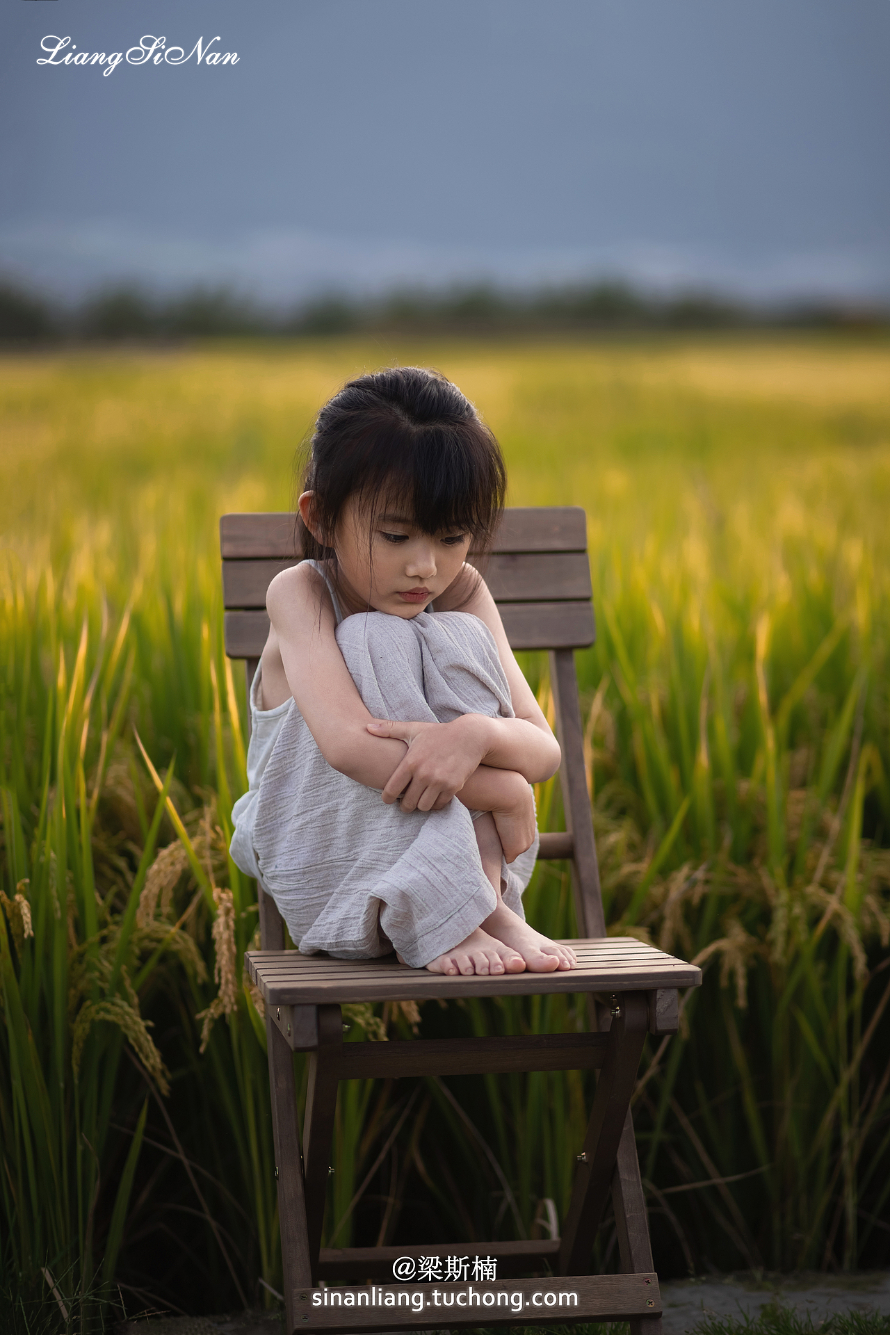 风,已经是秋天的味道了呢!