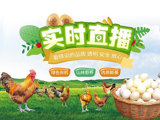 土鸡移动端首页