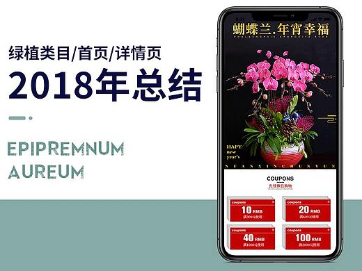 绿植类目首页/详情页合集