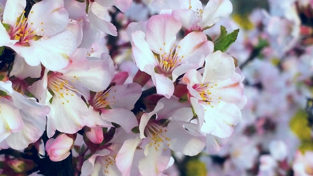 努力发现生活中的美