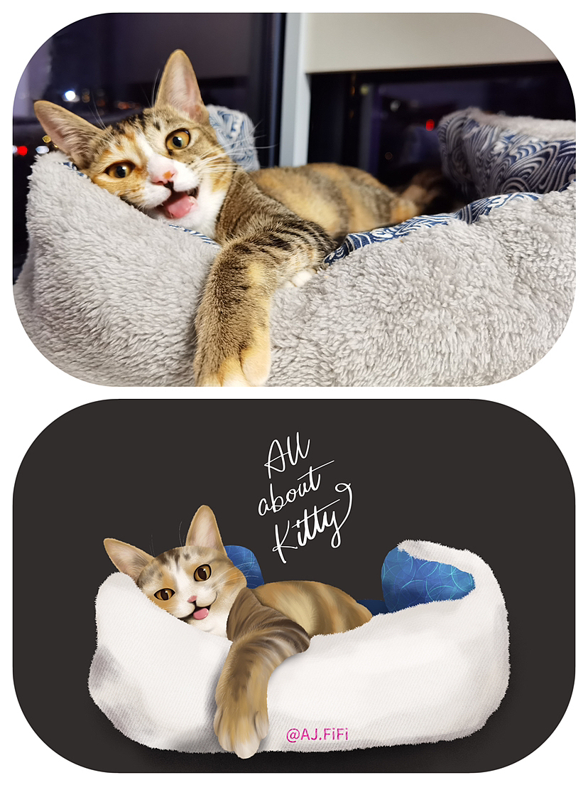 All about Kitty系列