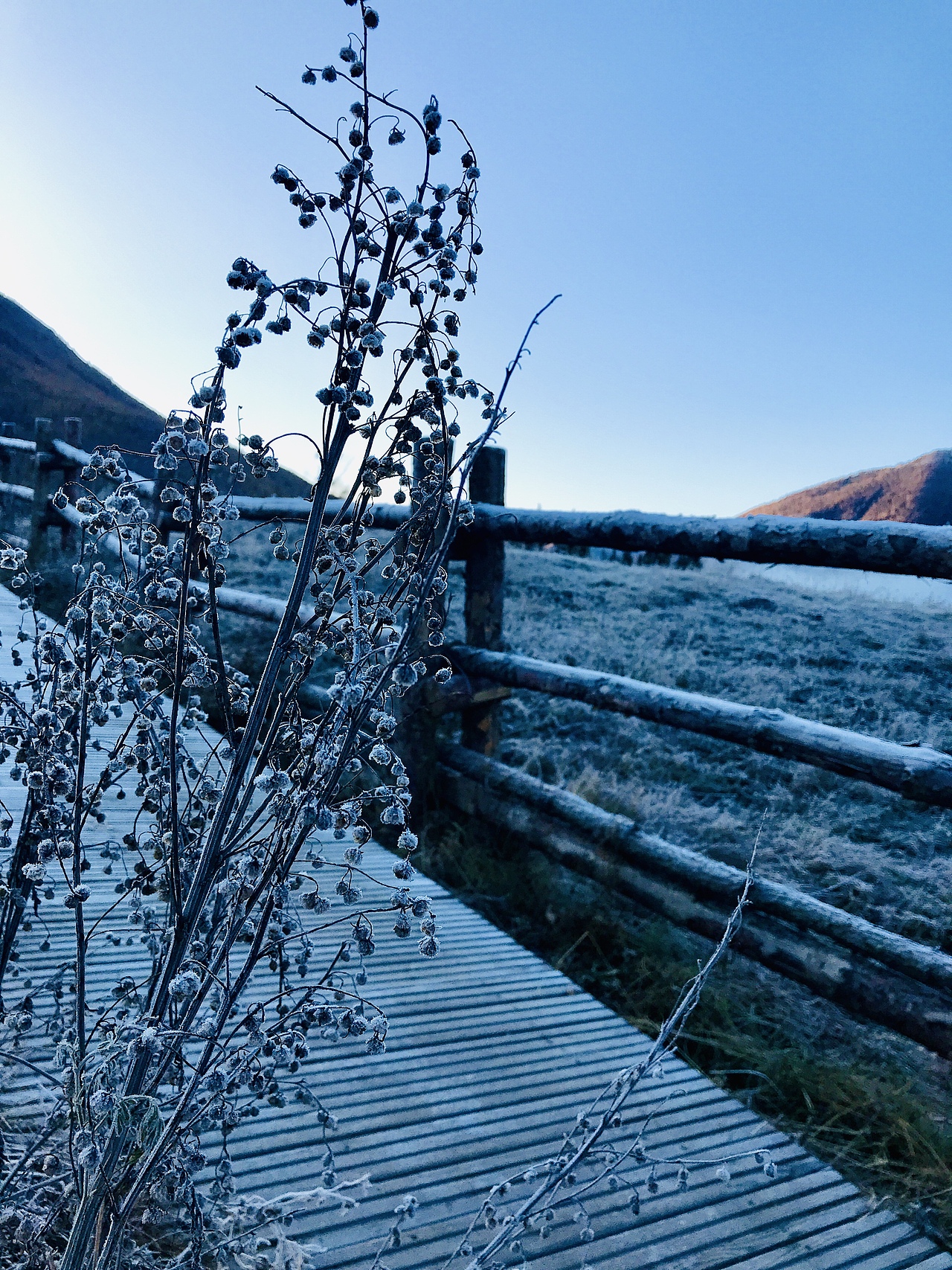 新疆?dāng)z影（圖ZMTgwNjk1Nzc2） - 風(fēng)光攝影 - 站酷設(shè)計(jì)師玉翁原創(chuàng)素材 - 站酷ZCOOL