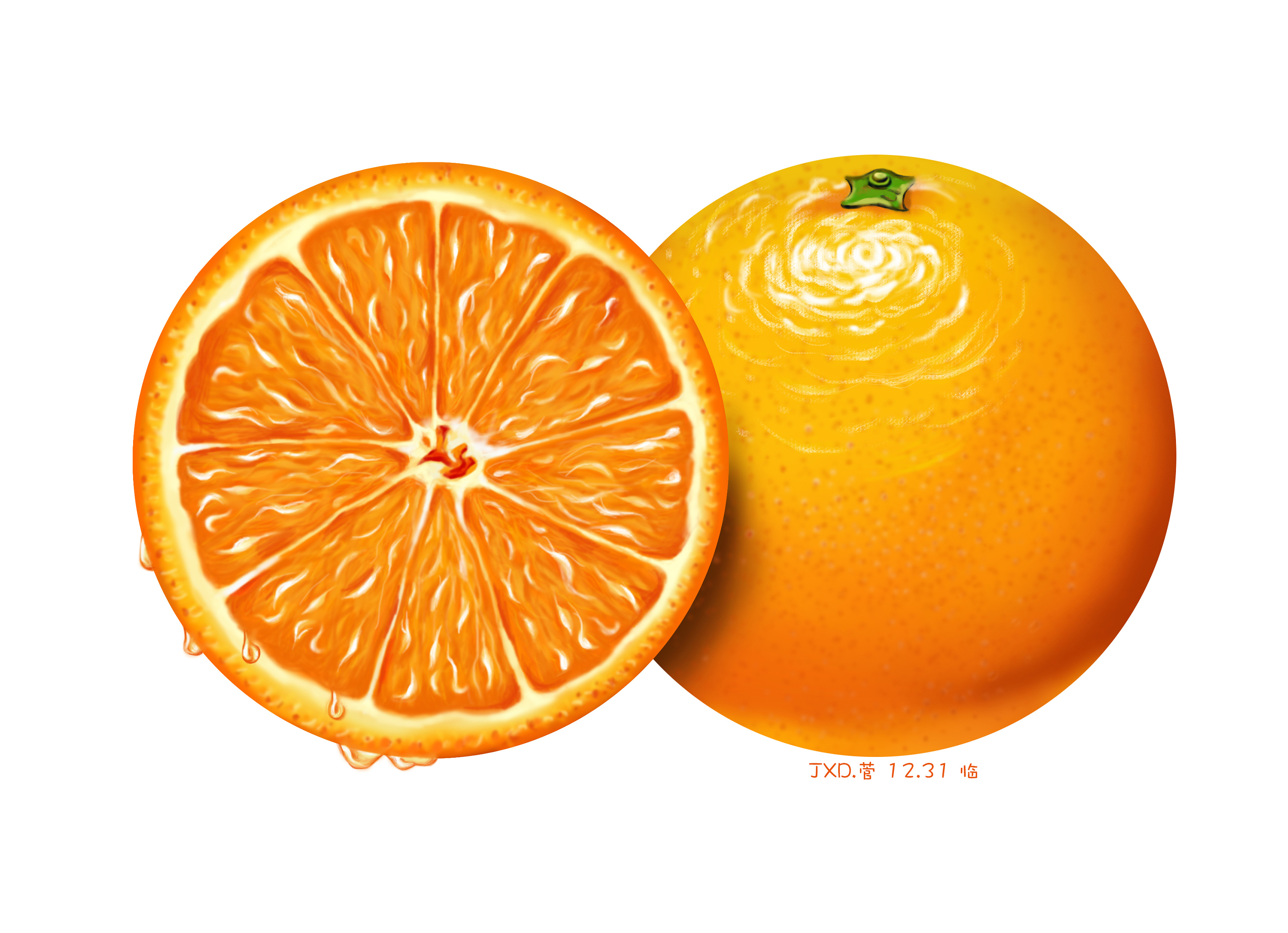 写实橙子