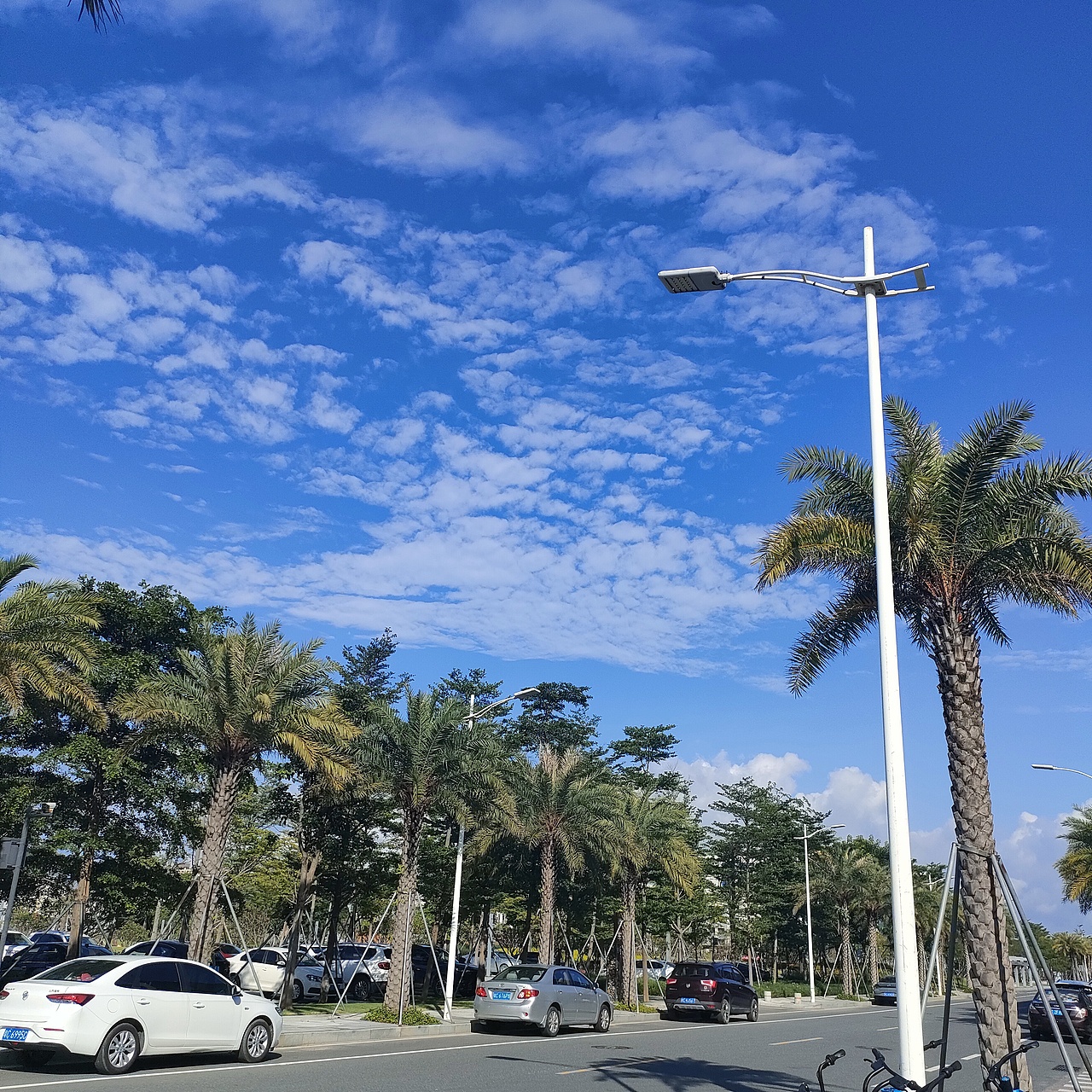 手机摄影-随拍（图ZMjU4MDcwNjQ0） - 人文/纪实摄影 - 站酷设计师爱吃番茄鱼的猫原创素材 - 站酷ZCOOL