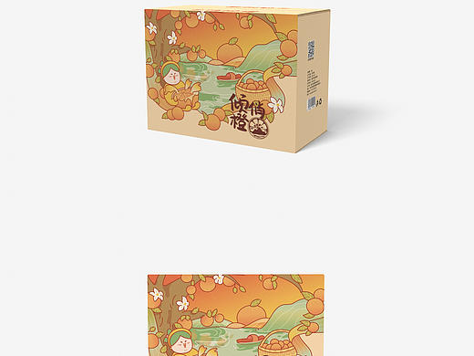 柑橘橙子包装_礼盒插画