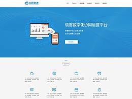 早期——企業(yè)官網(wǎng)