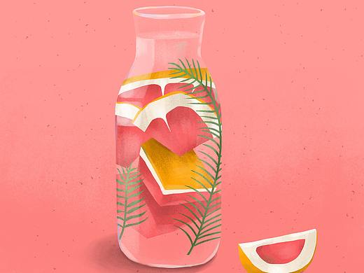 水果/蔬菜  插画