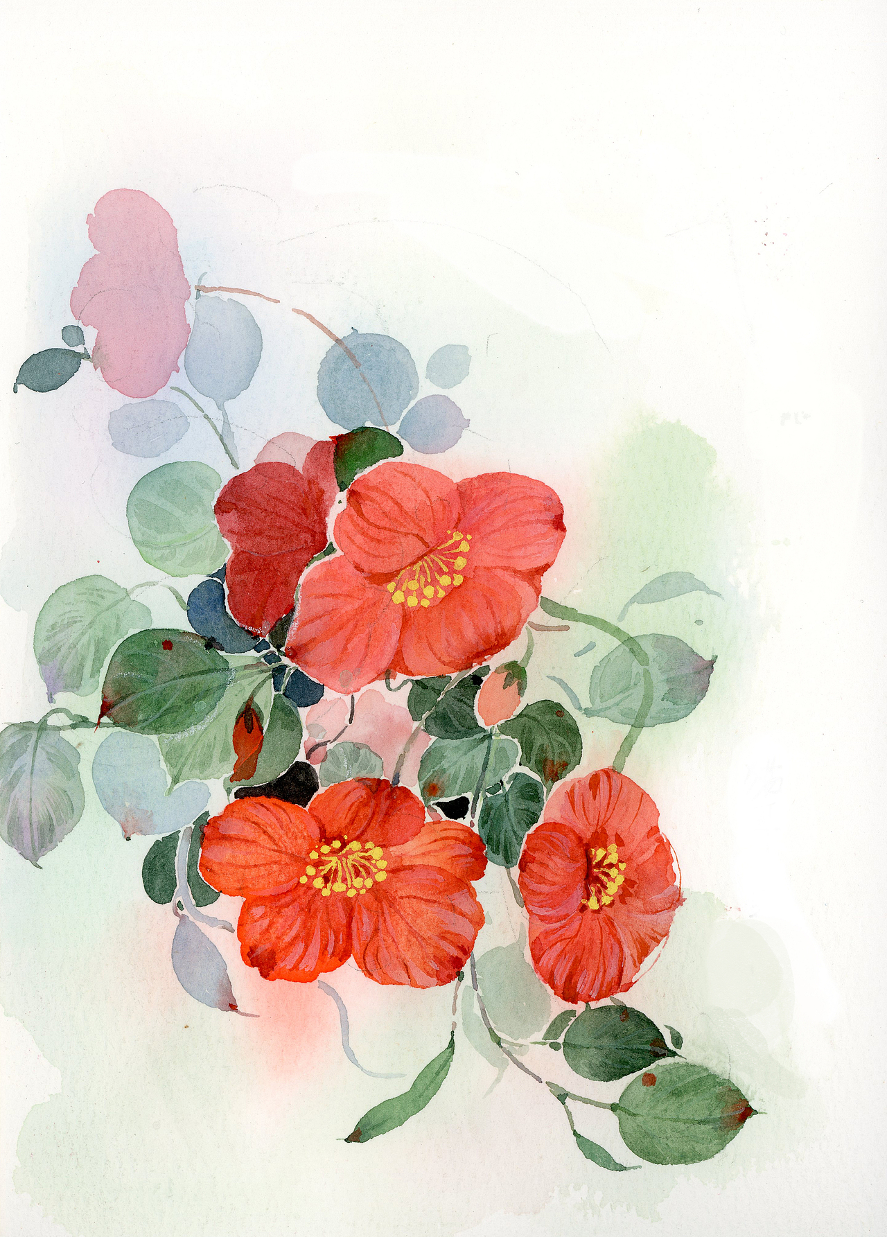 水彩花卉（图ZMjg5NzEzODA0） - 艺术插画 - 站酷设计师鸿飛插画原创素材 - 站酷ZCOOL