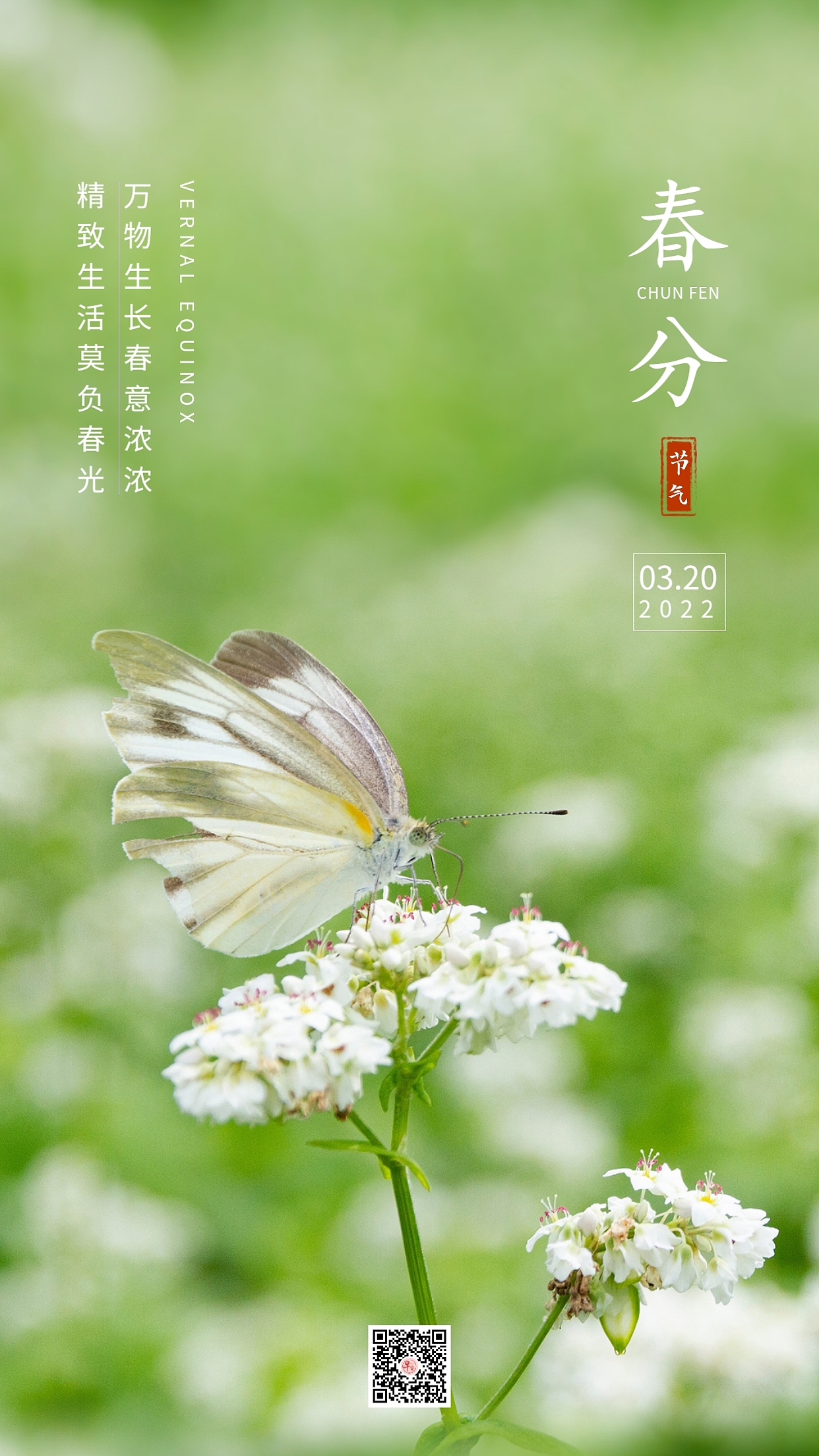 春分海报|平面|海报|早安微刊_原创作品-站酷(zcool)