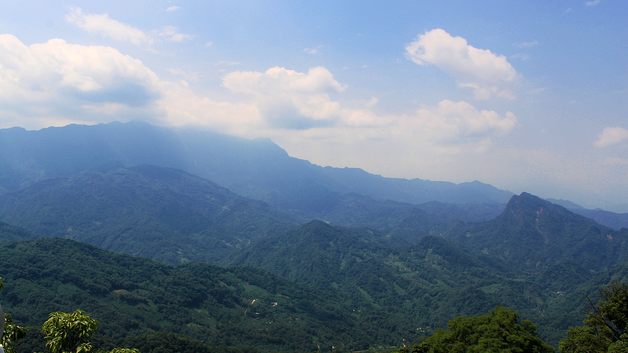 摄影作品（青城山，都江堰）（图ZNTc2NDk0NDQ=） - 风光摄影 - 站酷设计师树木端原创素材 - 站酷ZCOOL
